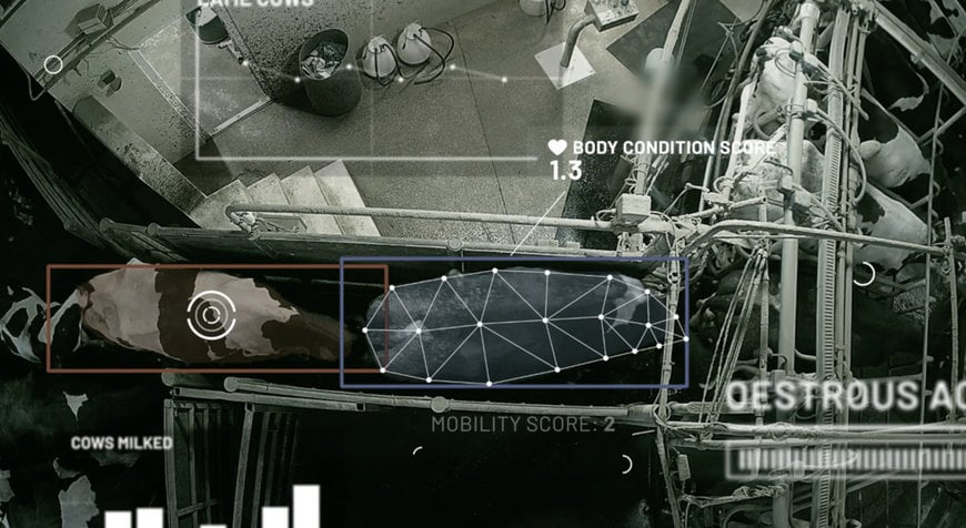 GEA: DETECT DISEASE FASTER WITH CAMERA AND ARTIFICIAL INTELLIGENCE